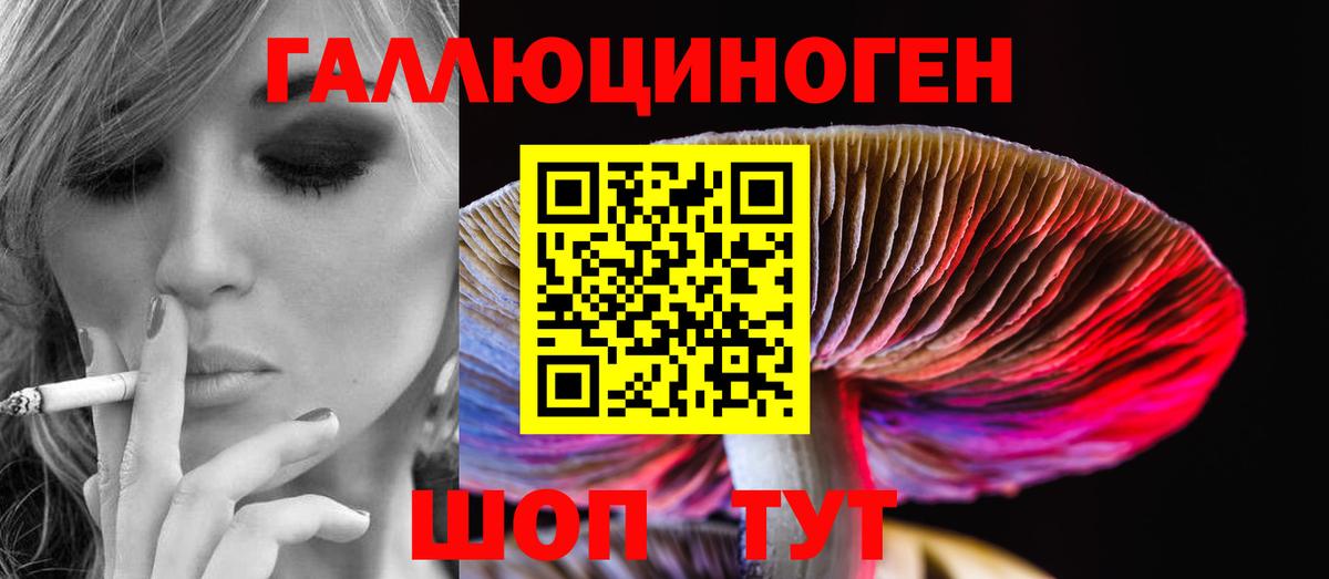 Галлюциногенные грибы прущие грибы  Вход с VPN  Элиста 