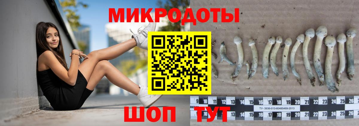 Галлюциногенные грибы Cubensis Элиста